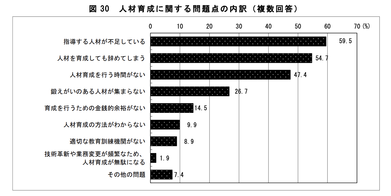 人材育成に関する問題点の内訳グラフ