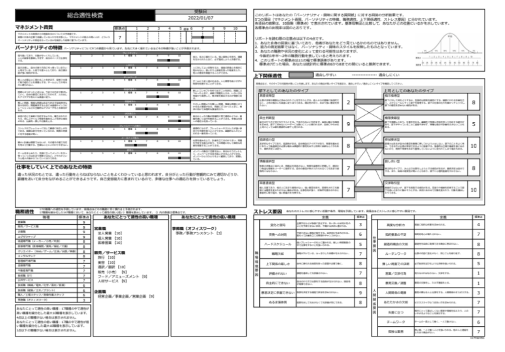 コンピテンシー診断の結果例